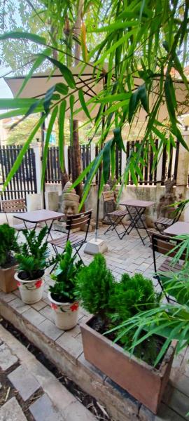 Secret Garden Homestay